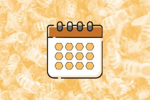 Aphrodites Harvest Seasonal Calendar of Bee Keeping events