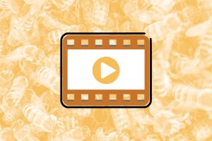 Beekeepers Resources Training video tutorials education bee hives