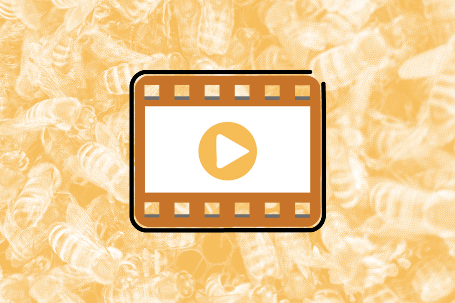 Beekeepers Resources Training video tutorials education bee hives